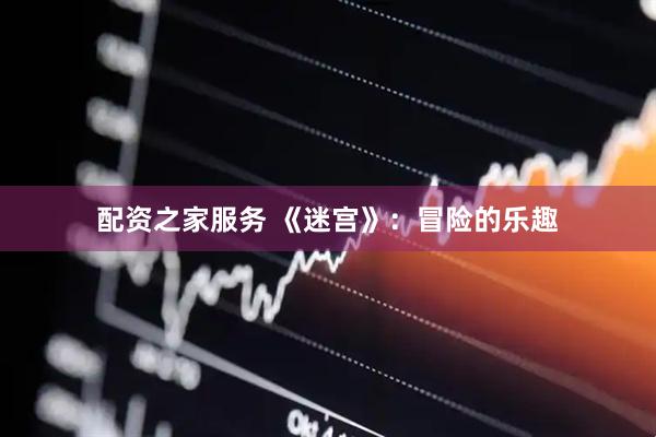 配资之家服务 《迷宫》：冒险的乐趣
